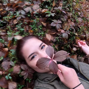 Puede incluir: Una persona yace en un lecho de hojas caídas y vegetación, sosteniendo una flor marrón oscura de cuatro pétalos frente a su rostro. La persona lleva un chaleco acolchado verde y una pulsera negra. Las hojas son de varios tonos marrones.