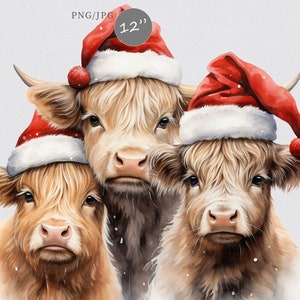 3 Highland cows clipart, Christmas clipart, Winter clipart, Cow clipart,  Watercolor clipart