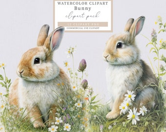 Bunny clipart, Spring clipart, Easter clipart, Animals clipart, Forest animals clipart