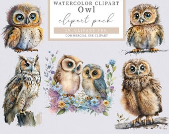 Watercolor Owls Clipart, Owl Clipart, Watercolor, Watercolor  clipart, Bird clipart, Olw png,