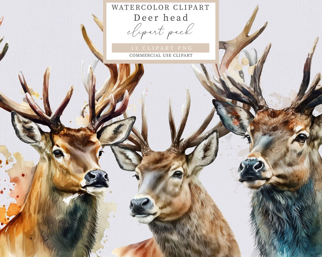 Deer Head Clip Art Deer Clip Art Animal Clip Art Watercolor Etsy