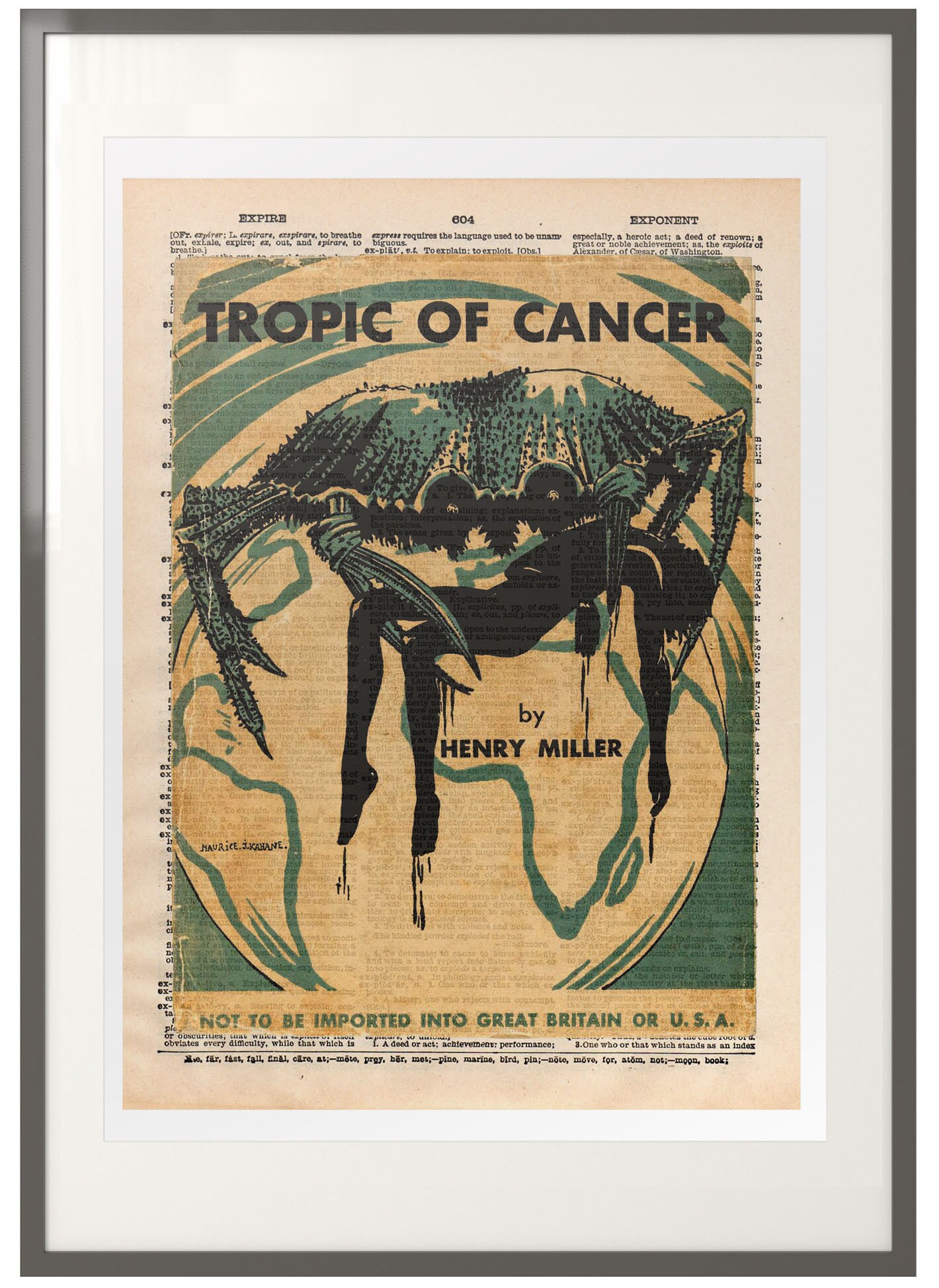 Tropic of cancer summary image