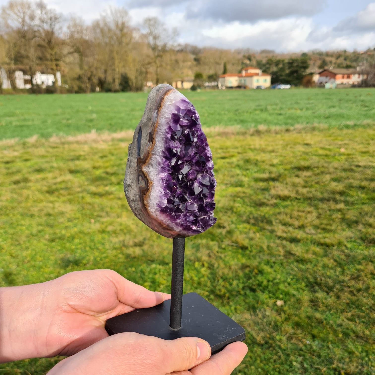 Améthyste Brute sur Pied Poids 1.072 Kgs