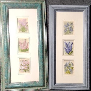 Gerahmte 1934 Kensitas Silk Blumen mit Originalkarten - 2 Sets (Blau & Pink) - Britische Zigaretten Sammlerstücke