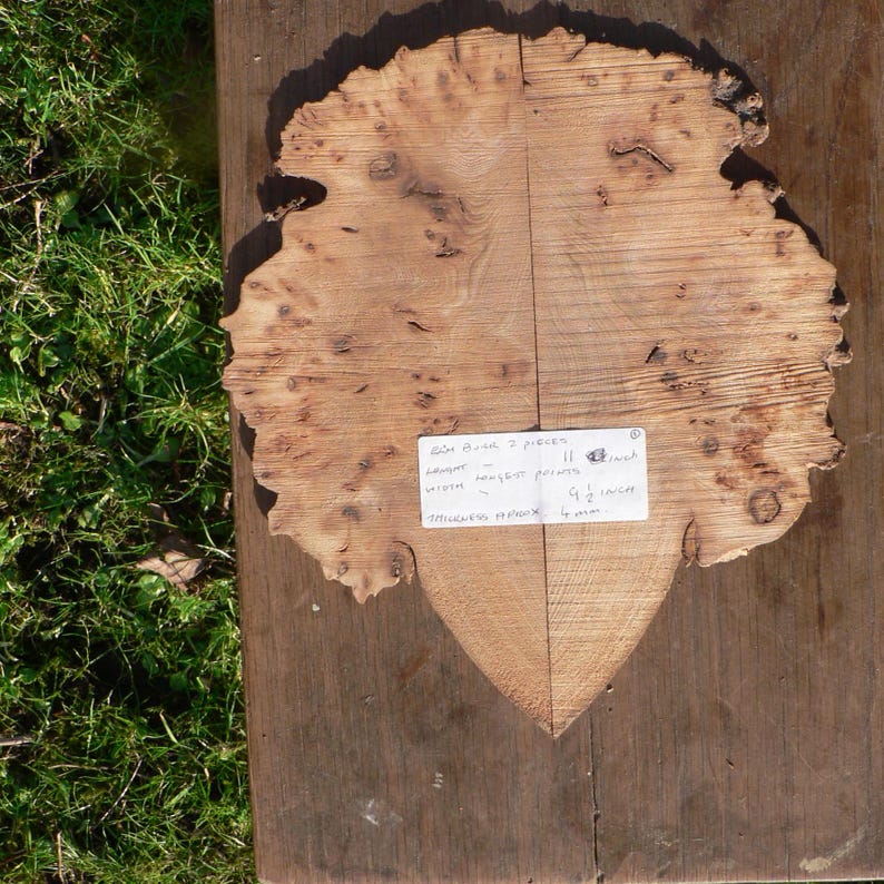 May include: A light brown, irregularly shaped wooden slab with a lighter-colored, heart-shaped section at the bottom. The slab is 11 inches long and 9.5 inches wide. A handwritten note is attached.