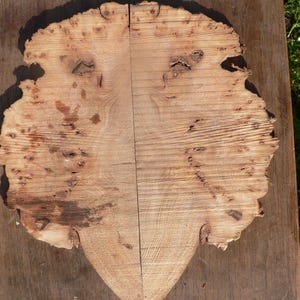 May include: A split, natural wood slab with a unique, organic shape. The light brown surface features intricate grain patterns, knots, and imperfections, creating a rustic aesthetic. The slab is bisected by a straight line, and rests on a darker wooden surface.