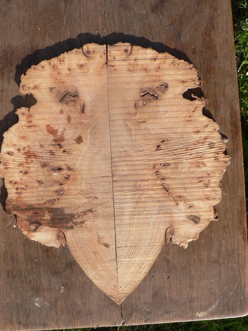 May include: A split, natural wood slab with a unique, organic shape. The light brown surface features intricate grain patterns, knots, and imperfections, creating a rustic aesthetic. The slab is bisected by a straight line, and rests on a darker wooden surface.