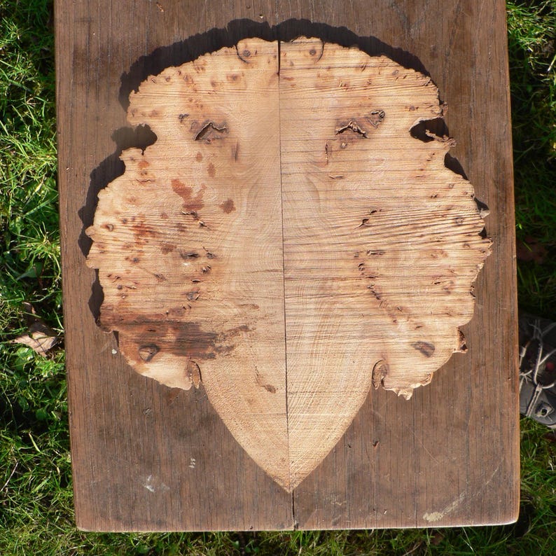 Burr elm slices inlay for art or craft projects image 3