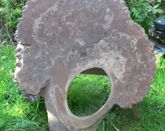 unusual large elm burr slice