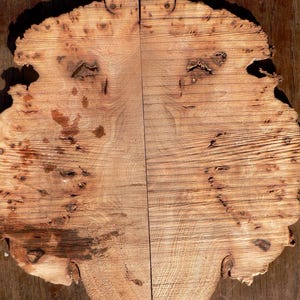 May include: A split, irregular-shaped piece of wood with a light brown color and a natural grain pattern. The wood has a rough, textured surface with knots and imperfections. The two halves are joined by a vertical seam, creating a symmetrical design.
