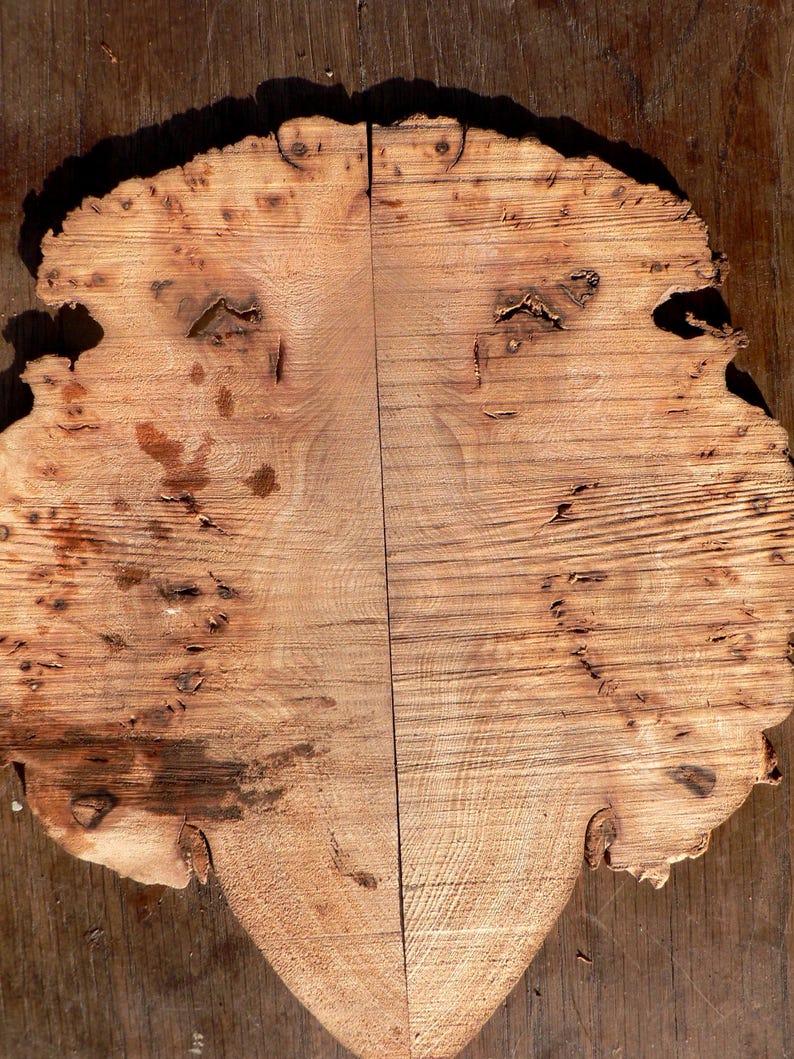 May include: A split, irregular-shaped piece of wood with a light brown color and a natural grain pattern. The wood has a rough, textured surface with knots and imperfections. The two halves are joined by a vertical seam, creating a symmetrical design.