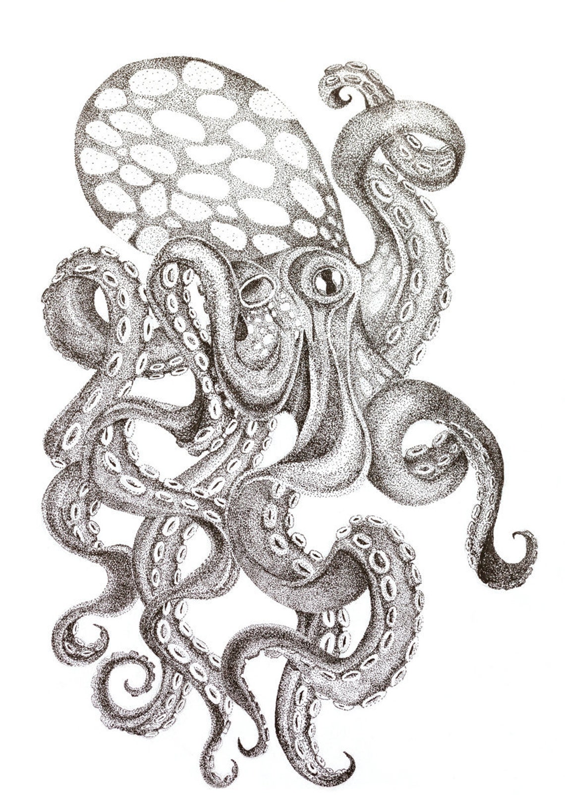 OCTOPUS Ink Artwork Giclee Print Unique Animal Portrait by Etsy
