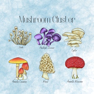 Puede incluir: Una ilustración de un grupo de setas con diferentes tipos de setas, incluyendo enoki, engañador amatista, ostra, amanita caesarea, morchella y amanita muscaria. Las setas están dibujadas en un estilo acuarela sobre un fondo azul claro.