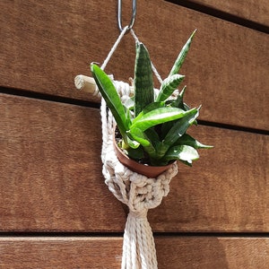 Makramee Luftpflanzenhalter, kleine Pflanzentasche, Hand gefärbter Makramee-Wandbehang Pflanzenaufhänger, Boho Visitenkartenhalter