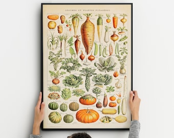 Adolphe Millot Garden Vegetables Vintage Poster, Wall kitchen Decoration Botanical Prints for your wall