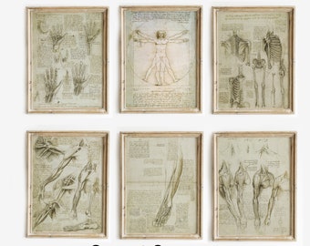 Ensemble de 6 estampes Leonardo Da Vinci The Vitruvian Man, ensemble de 6 affiches d’anatomie vintage, ensemble de 6 affiches Anatomy Art, Leonardo da Vinci