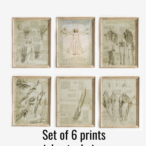 Set di 6 stampe Leonardo Da Vinci L'uomo vitruviano, set di 6 poster di anatomia vintage, set di 6 opere di anatomia, poster di Leonardo da Vinci