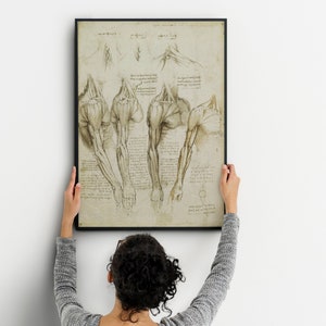 Leonardo Da Vinci Vintage Anatomy muscoli Poster, Anatomia decorazione murale per il tuo ufficio