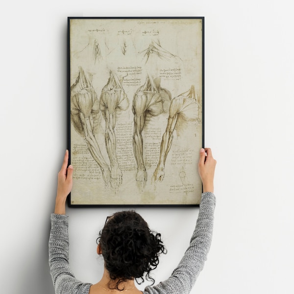 Leonardo Da Vinci vintage Anatomy muscles Affiche, Décoration murale anatomie pour votre bureau