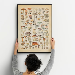 Póster botánico de hongos, póster de comida, impresión de hongos, póster de Adolphe Millot, calcomanía de pared vegana, impresión botánica vintage