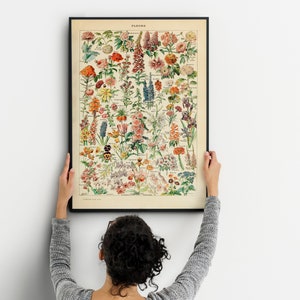Impresión de flores vintage, cartel de Adolphe Millot, impresión botánica, ilustración floral romántica, idea de regalo de cumpleaños científico, decoración del hogar