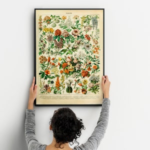 botanische print, vintage botanische prints, vintage bloemenprint, vintage bloemenprints, Larousse-bloemen kunst aan de muur, bloemenkunst, prenten natuur