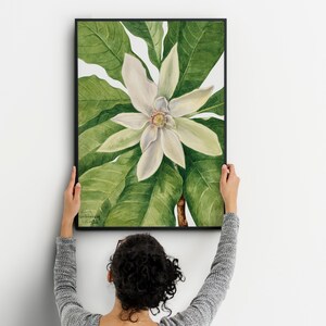 Magnoliakwekerij, Magnolia vintage print, vintage botanische poster, vintage muurkaart, magnolia botanische print, magnolia, cadeau voor haar