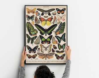 Vintage Butterfly Wall Art Prints in rustic decoration style, beautifull poster with moses for your wall