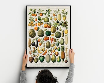 Vintage Poster Fruits Chart with vegetables, Botanical Wall Art Prints Kitchen poster