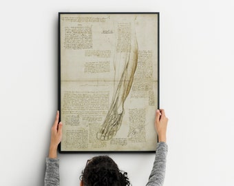 Leonardo Da Vinci The Vitruvian Man, Vintage Anatomy Poster, Anatomy Art, Leonardo da Vinci poster