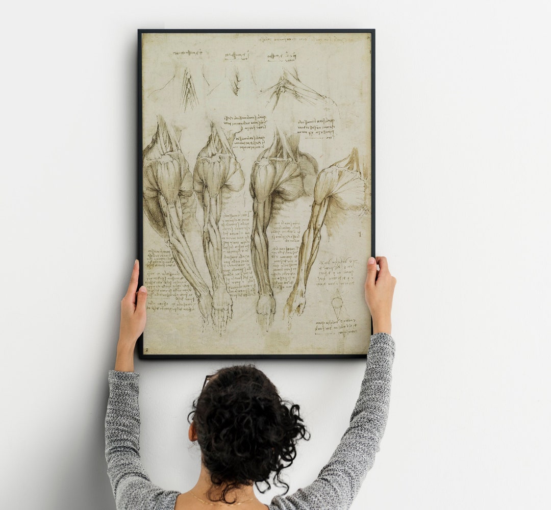 Leonardo Da Vinci Vintage Anatomy Muscles Poster, Anatomy Wall ...