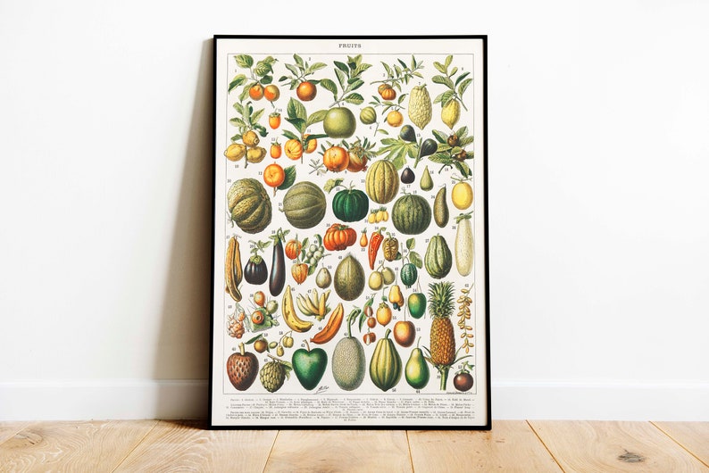 Adolphe Millot Botanical Prints, Fruits and Vegetables Poster Set image 5