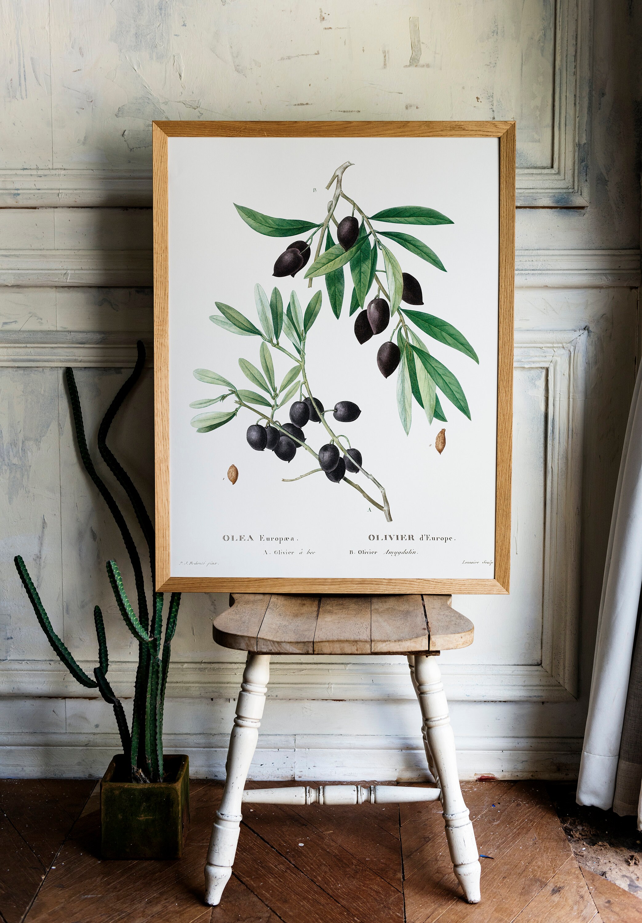Olive Garden Prints Olive Wall Art Print Garden Botanical Etsy
