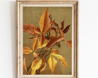 Vintage Botanical Print, Autumn Leaves Wall Art, Beech Leaf Poster, Ellen Thayer Fisher, Antique Botanical Art, Cottagecore Decor