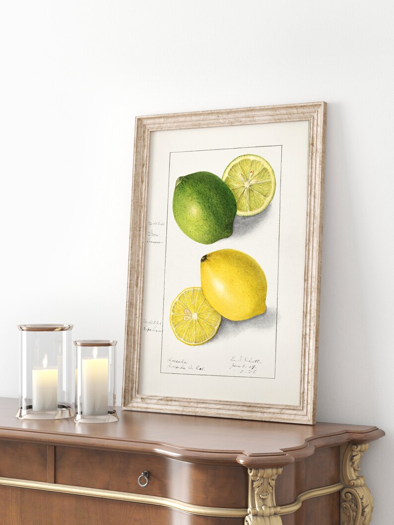 Vintage Lemon Print, Botanical Kitchen Wall Art, Victorian Poster - Etsy