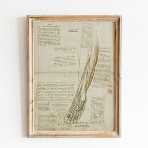Leonardo da Vinci Vitruvian Man anatomy poster vintage prints da vinci drawings sketch Leonardo da Vinci medical anatomy wall art wall decoration da vinci prints anatomy illustration muscular system studies giclée archival