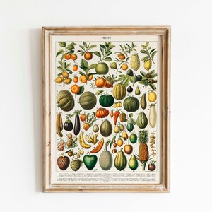 May include: A vintage botanical illustration of various fruits, including melons, lemons, pears, and figs. The print is framed in a light wood frame and features the word "FRUITS" at the top.