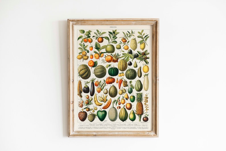 May include: A vintage botanical illustration of various fruits, including melons, lemons, pears, and figs. The print is framed in a light wood frame and features the word "FRUITS" at the top.