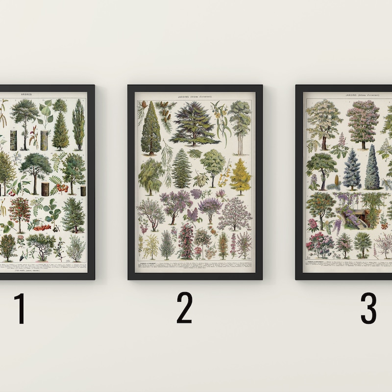 Tree Poster - Etsy