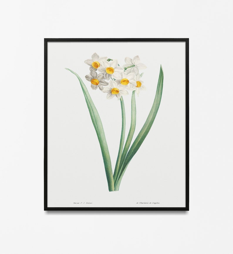 Flowery Decor botanical art print spring flower print botanical ephemera housewarming poster flower wall art