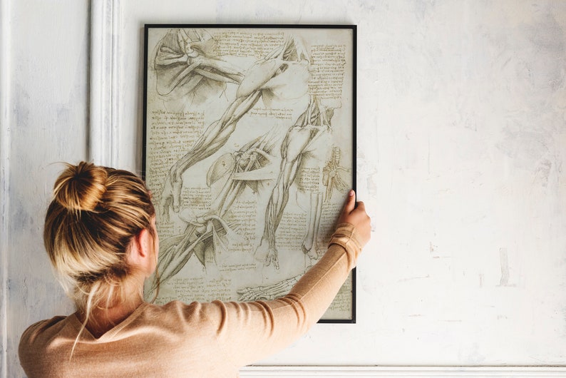 Leonardo Da Vinci Vintage Anatomy Muscles Poster, Anatomy Wall ...