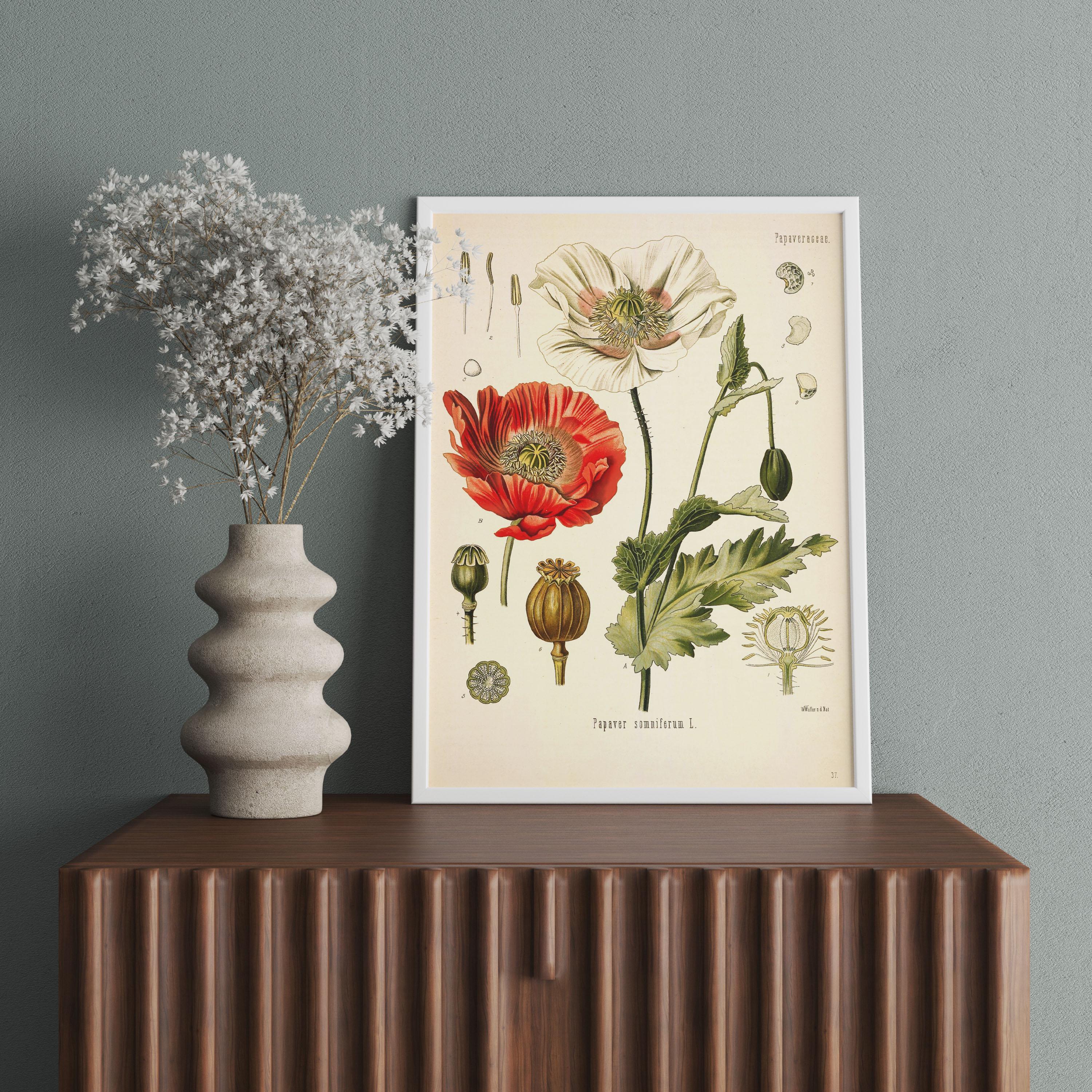 Vintage Botanical Wildflower Print | Garden Floral Wall Art - Etsy