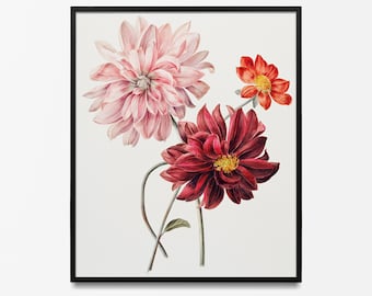 Dahlia Print, Vintage Flower Wall Art, Minimalist Botanical Garden Poster