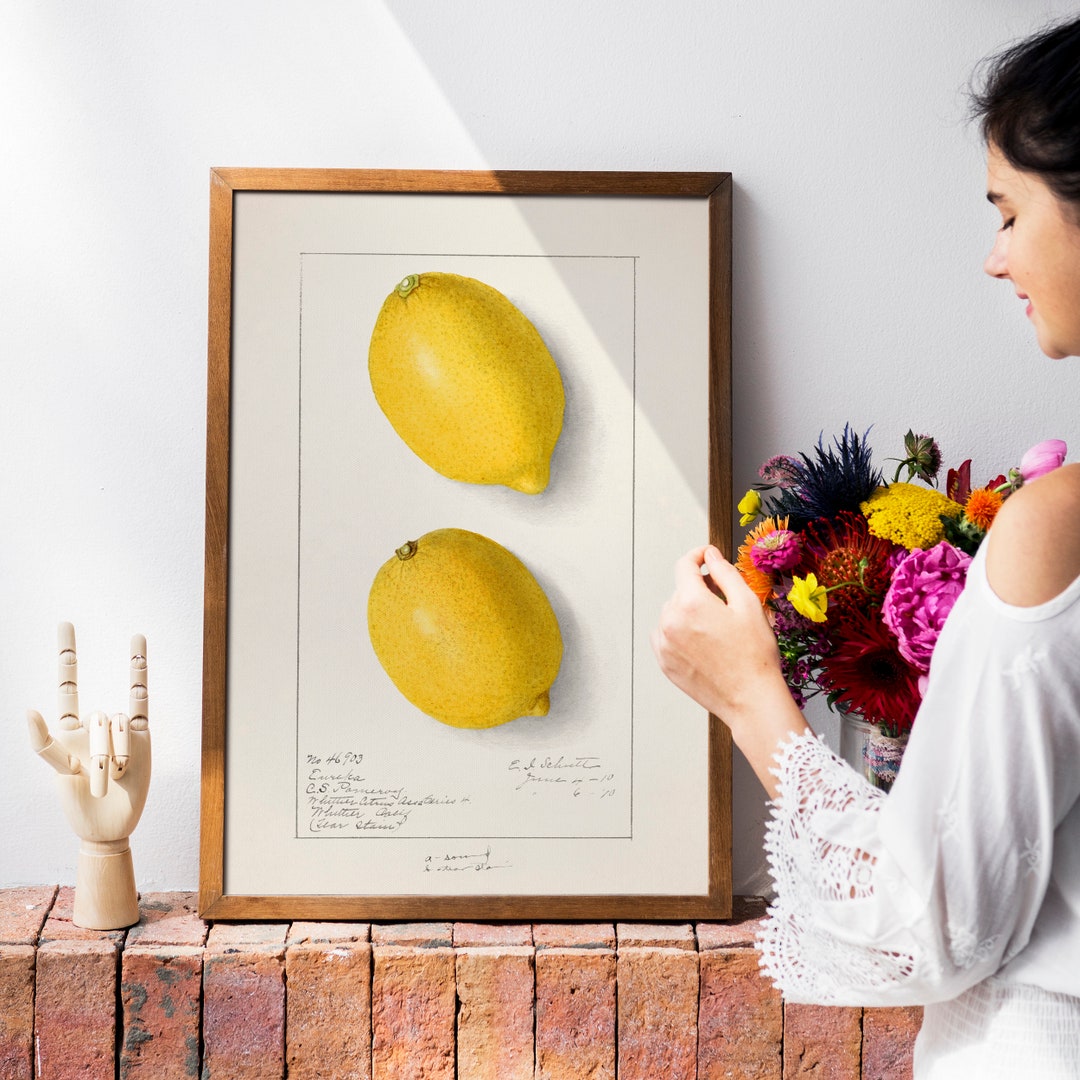 Vintage Lemon Print, Botanical Kitchen Wall Art - Etsy