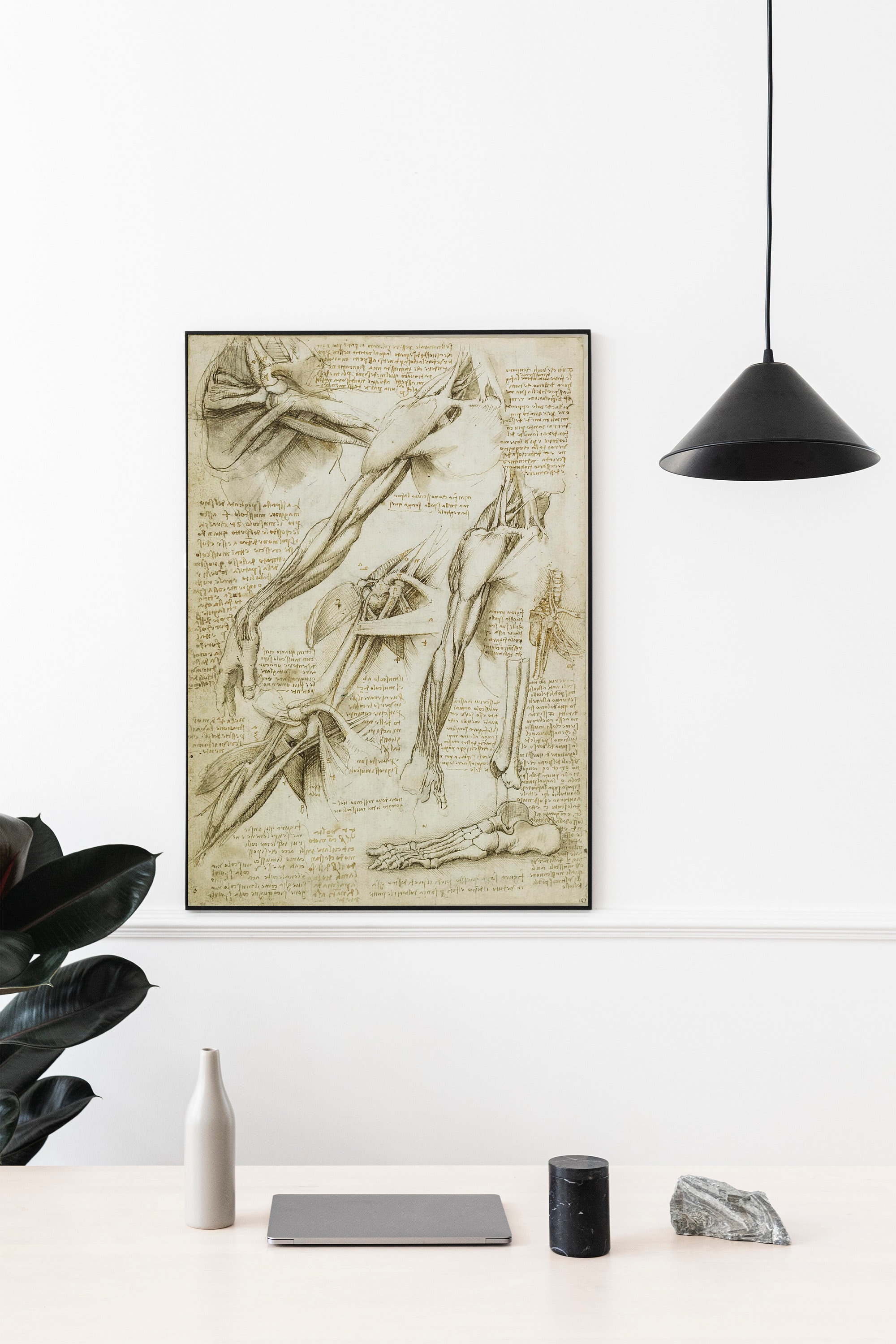 Leonardo Da Vinci Vintage Anatomy Muscles Poster, Anatomy Wall ...