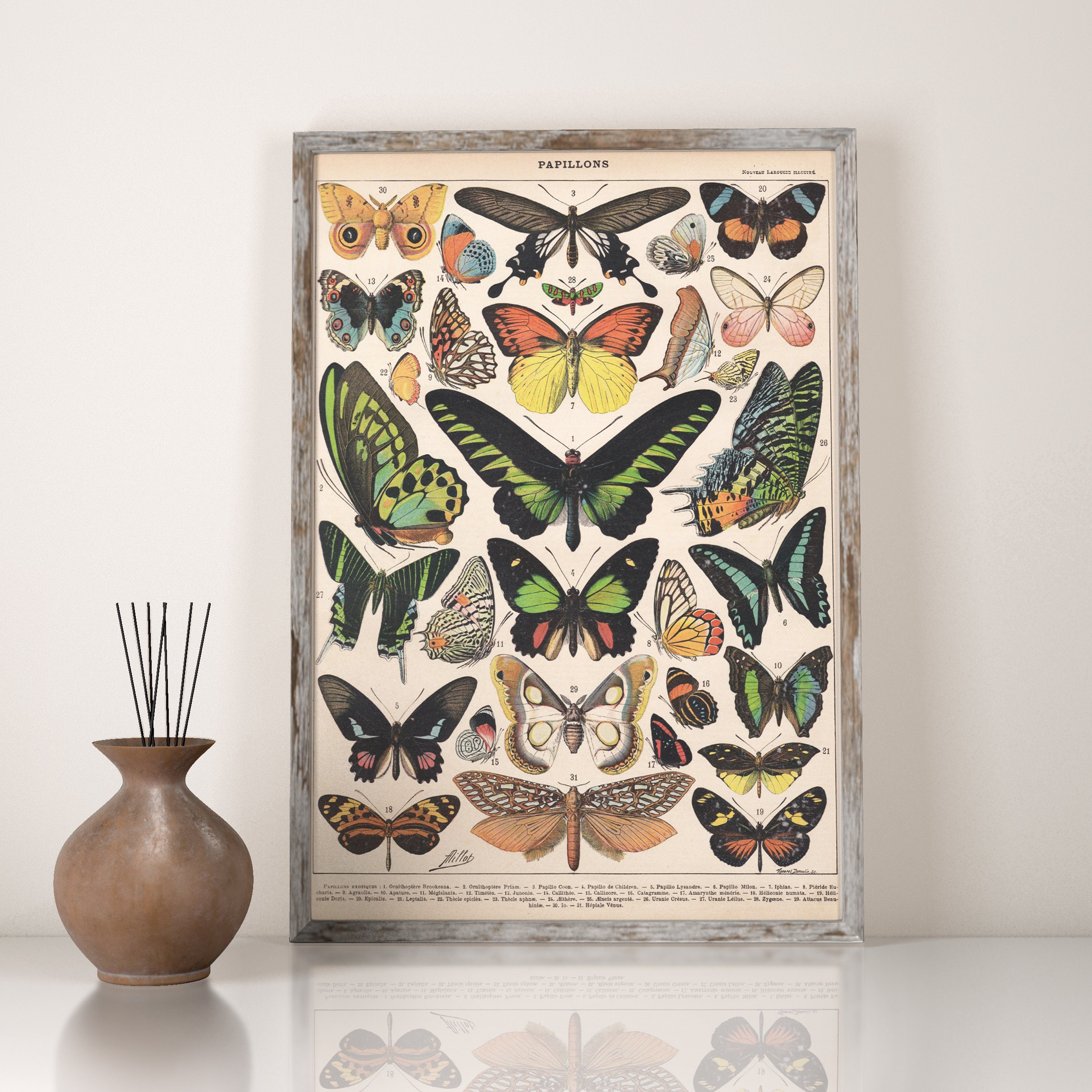 Vintage Butterfly Wall Art Prints in Rustic Decoration Style Etsy