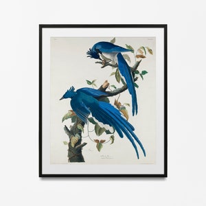 Cuadro para cocina Boho Bird of Paradise Leaves III  Cuadros modernos y  láminas decorativas – Artesta