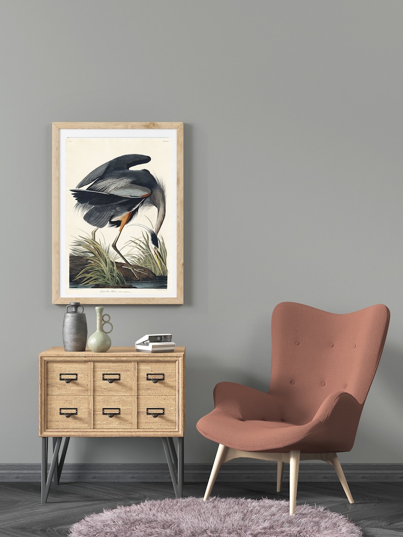 Great Blue Heron Print Audubon Poster Vintage Illustrations - Etsy