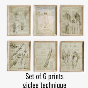 Set di 6 stampe di Leonardo Da Vinci L'uomo vitruviano, set di 6 poster di anatomia vintage, set di 6 stampe di anatomia artistica, poster di Leonardo da Vinci
