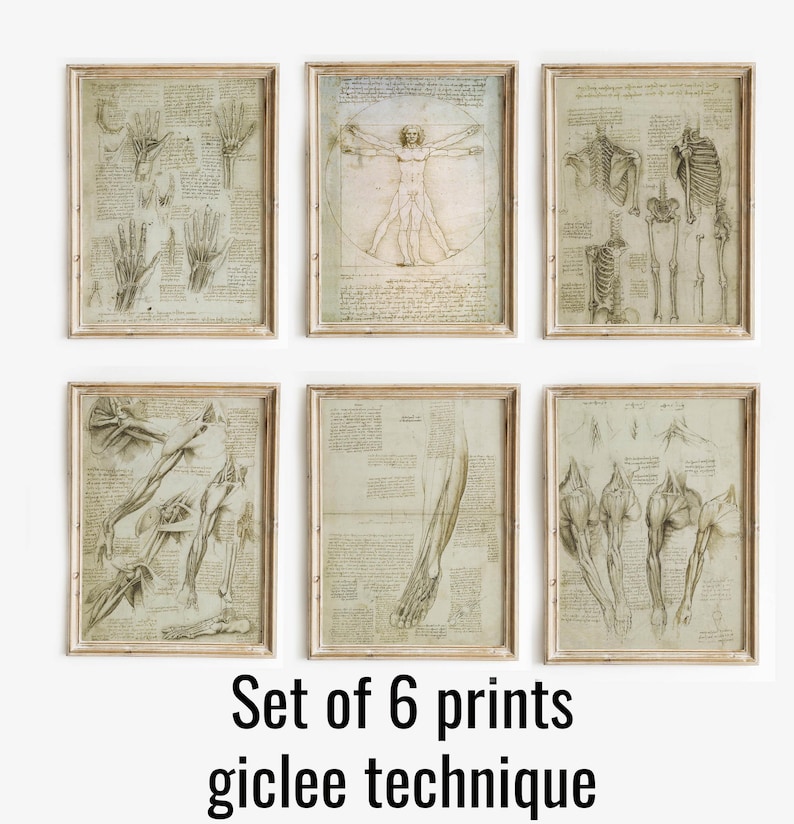 Leonardo da Vinci anatomy poster vintage prints da vinci drawings sketch Leonardo da Vinci medical anatomy anatomy wall art wall decoration da vinci prints anatomy illustration giclée museum quality paper Vitruvian Man and anatomical studies